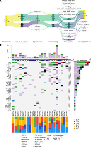 Mutational landscape of the sequenced patients. (A) Descriptive flow of all the variants found in the 23 patients (Sankey plot) summarizing all the characteristics. (B) Oncoplot summarizing mutational profile for each patient and gene. Top bar plot represents the number of mutations for each patient filled depending on the consequence of mutation. Right side bar plot illustrates the number of samples affected by mutation in the given gene, filled depending on the consequence of mutation. Clinical stage of each patient is also present below sample names, with corresponding proportions of transitions/transversions.