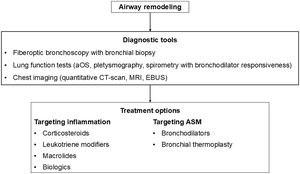 Summary of current diagnostic tools and therapeutic options of airway remodeling in asthma. aOS: airway oscillometry, CT: computed tomography, MRI: magnetic resonance imaging, EBUS: endobronchial ultrasound.