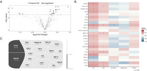 Analysis of differential protein detection according to OSA condition (non-OSA vs. untreated severe OSA) in ACS patients with recurrent CVEs. (A) Volcano plot showing the negative logarithm of the p value (y-axis) versus the log2-fold change (x-axis) for each analyzed plasma protein. The horizontal dashed line indicates the cutoff for the p value defining statistical significance (0.05). The black dots denote the significantly differentially expressed proteins between the groups. (B) Linear associations between the differentially expressed proteins (y-axis) and the OSA severity parameters derived from respiratory polygraphy (x-axis). All variables were standardized. The slopes between the differentially expressed proteins and the respiratory polygraphy parameters are represented through a color scale, with red being related to positive associations and blue to negative associations. Asterisks denote statistical significance (p<0.05). (C) Voronoi diagrams illustrating the differentially expressed proteins between the study groups, which were significantly correlated with at least one OSA severity parameter. The size of the polygons reflects the magnitude of the fold change. The upregulated and downregulated proteins in severe OSA patients are represented in gray and black, respectively. All analyses were adjusted for confounding factors (age, sex, BMI, and the presence of hypertension). Definitions of abbreviations: ACS=acute coronary syndrome; AHI=apnea–hypopnea index; CT90=time with SaO2<90%; CVE=cardiovascular event; ODI=oxygen desaturation index; OSA=obstructive sleep apnea; SaO2=oxygen saturation.