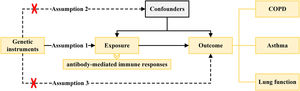 Study flow chart and the three assumptions that IVs need to fulfil.