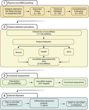 Study workflow. Figure created with BioRender.com (https://app.biorender.com/), license number: TH26UP0M73. Abbreviations: CPAP: continuous positive airway pressure; OSA: obstructive sleep apnea.