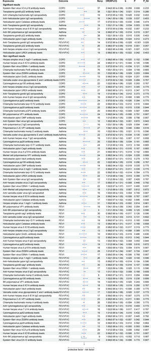 Forest plot of the MR analysis results for antibody-mediated immune responses and respiratory diseases. All results were obtained using the inverse-variance weighted method. COPD, chronic obstructive pulmonary disease; FEV1, forced expiratory volume in 1-second; FVC, forced vital capacity; MR, Mendelian randomization; FDR, false discovery rate; CI, confidence interval; OR, odds ratio.