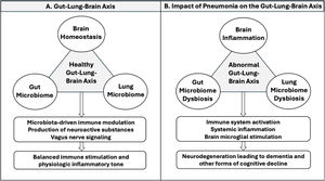 Possible role of the gut–lung–brain axis in the pathogenesis of pneumonia associated cognitive decline.