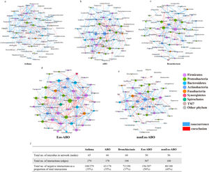 Network co-occurrence analysis of microbiota communities in asthma, ABO and bronchiectasis. Baseline microbiota co-occurrence network of asthma (a), ABO (b), bronchiectasis (c), Eos-ABO (d) and nonEos-ABO (e), and a summary table listing the network characteristics (f). In the network map, each node represents a taxon. The size of the node is proportional to its degree of connectivity. Nodes were colored based on the phylum classification. Each edge represents a significant Spearman