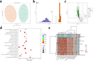 Differential sputum metabolomic features in Eos-ABO and nonEos-ABO. (a) OPLS-DA score plot. (b) OPLS-DA validation plot (intercept: Q2=0.128, P=0.010). (c) Volcano plot showing the differentially enriched [log2 (fold-change) on X-axis] and differentially expressed [−log10 (FDR-P) on Y-axis] metabolites in Eos-ABO and nonEos-ABO. Green represents down-regulated metabolites, while red represents up-regulated metabolites in Eos-ABO. (d) Bubble plot of the top 20 enriched metabolic pathways. Rich factor is the ratio of the number of differentially expressed metabolites in the corresponding pathway to the total number of metabolites detected and annotated by the pathway. The higher value of the rich factor, the greater the degree of enrichment. P value is the hypergeometric test P value. The closer to 0, the greater significance of the enrichment. The count represents the number of differentially significant metabolites enriched into the corresponding pathway. (e) Spearman