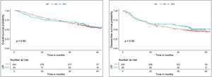 Kaplan–Meier curves for overall survival and disease-free survival.