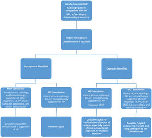 Suggestion on the use of serum immunoglobulin Gs (SsIgGs) in the clinical practice of newly diagnosed interstitial lung diseases (ILDs). MDT: multidisciplinary team; IPF: Idiopathic Pulmonary Fibrosis; ILD: Interstitial Lung Disease; iNSIP: idiopathic Nonspecific Interstitial Pneumonia; SARD-ILD: Systemic Autoimmune Rheumatic Disease associated Interstitial Lung Disease; HP: Hypersensitivity Pneumonitis; BAL: bronchoalveolar lavage; SsIgGs: serum specific immunoglobulin G.