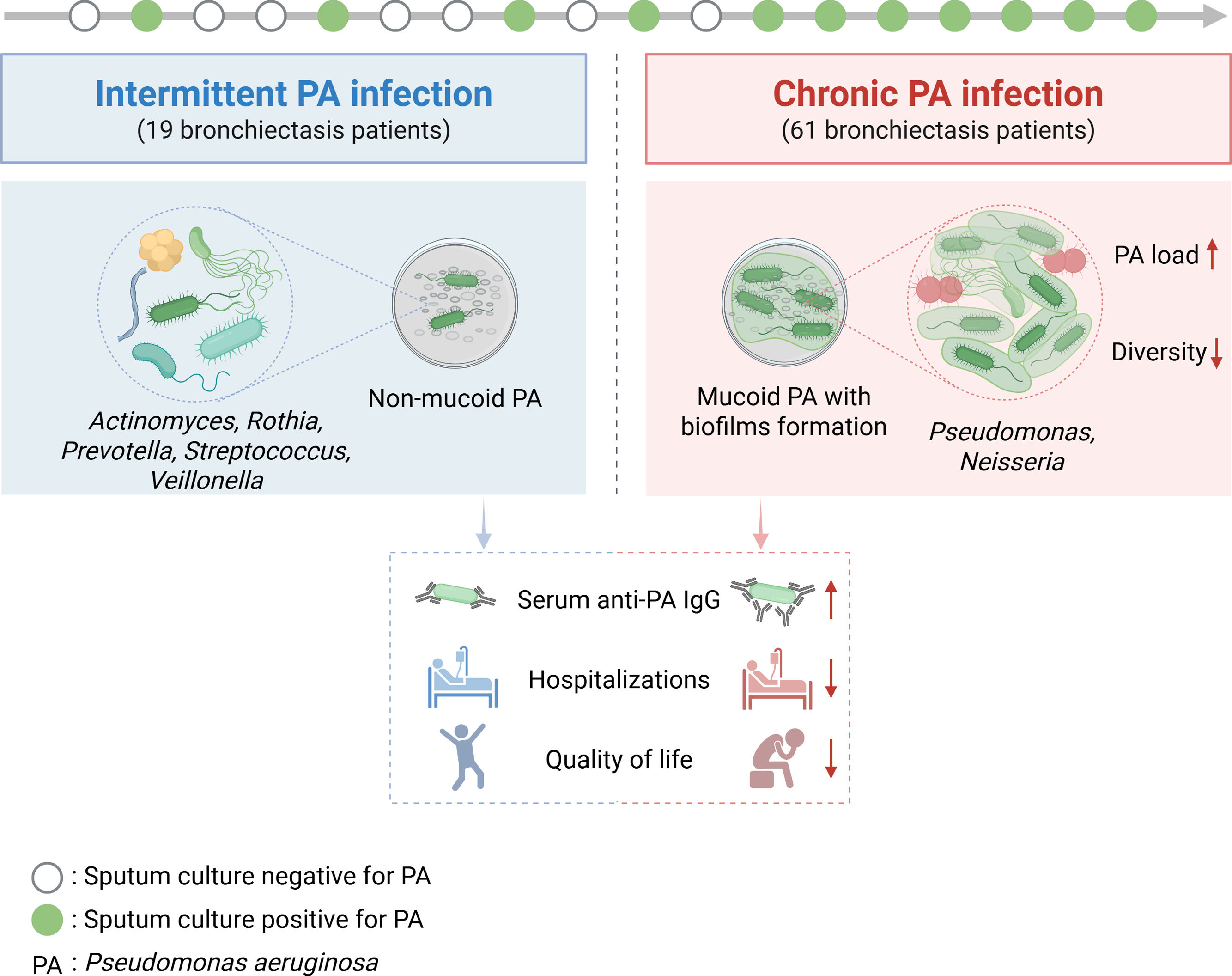 Pa Infection Rethinking Pseudomonas aeruginosa in Bronchiectasis | Archivos de ...