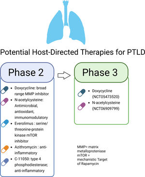 Candidate host-directed therapies under clinical evaluation for post-tuberculosis lung disease (PTLD). MMP=matrix metalloproteinase; mTOR=mechanistic Target of Rapamycin. Candidate host-directed therapies under clinical evaluation for post-tuberculosis lung disease (PTLD). MMP=matrix metalloproteinase; mTOR=mechanistic Target of Rapamycin.