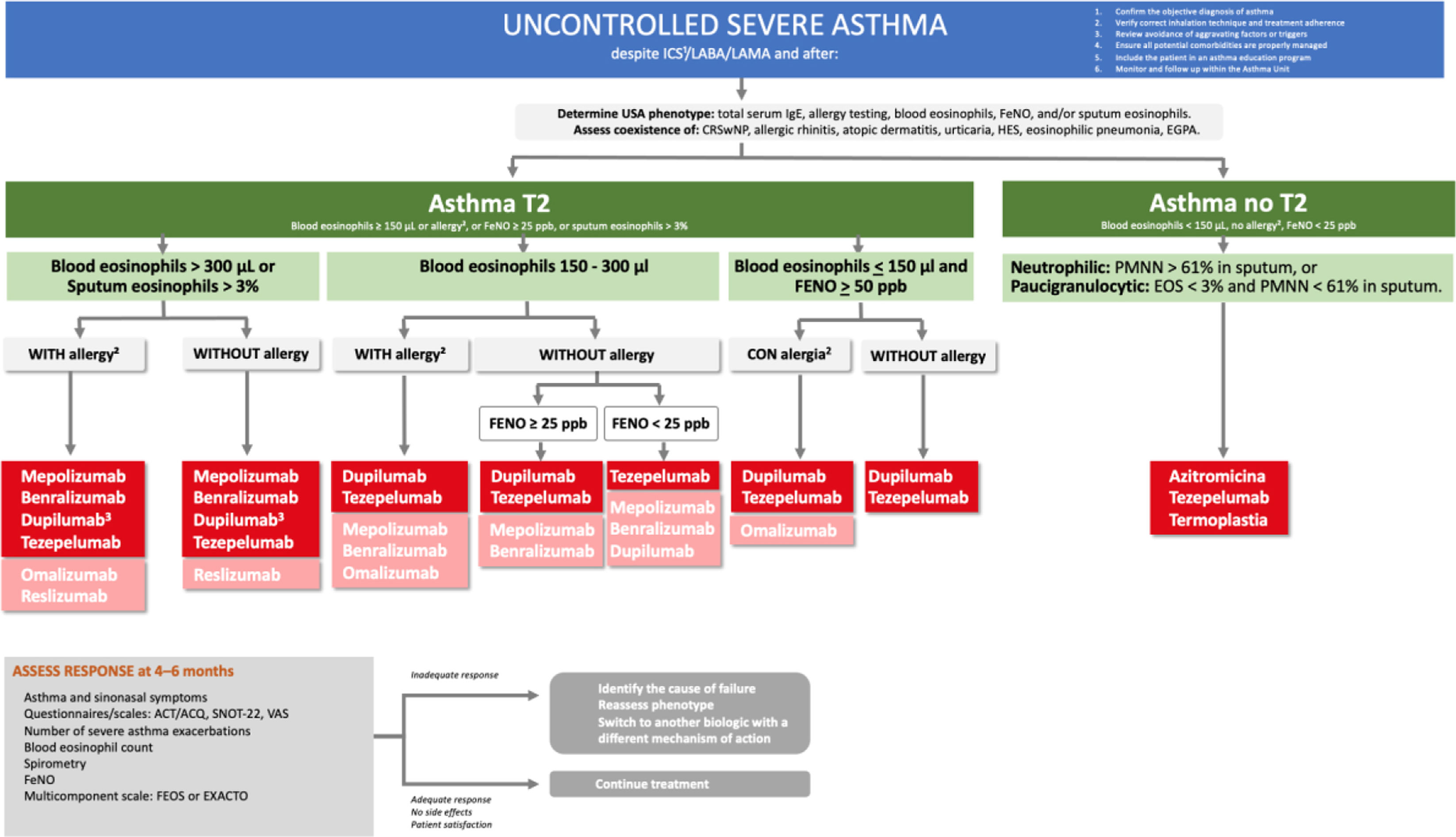 Inside GEMA 5.5: Expert Insights on the Latest Changes in Asthma ...