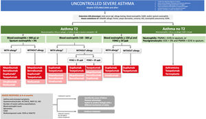 Treatment of adult uncontrolled severe asthma according to phenotype. USA: uncontrolled severe asthma; ICS: inhaled corticosteroids; LABA: long-acting β2-adrenergic agonists; LAMA: long-acting muscarinic antagonist; CRSwNP: chronic rhinosinusitis with nasal polyps; HES: hypereosinophilic syndrome; EGPA: eosinophilic granulomatosis with polyangiitis; PMNN: polymorphonuclear cells; EOS: eosinophils; ACT: Asthma Control Test; ACQ: Asthma Control Questionnaire; SNOT 22: Sino-Nasal Outcome Test; VAS: Visual Analog Scale; FeNO: fractional exhaled nitric oxide. 1 At high doses. 2 Allergen sensitization, clinical allergic disease, and total IgE≥75IU/ml. 3 Not recommended if blood EOS>1000μL.