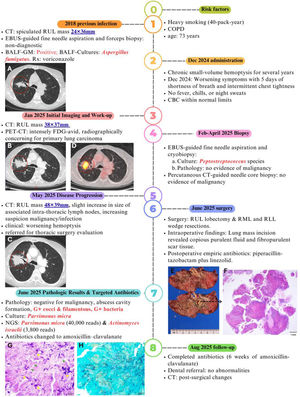 Timeline of the patient