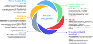 Dyspnoea management in patients with advanced chronic respiratory disease. Abbreviations. HFNC: high-flow nasal cannula. LABA: long-acting β2-adrenergic agonist. LAMA: long-acting muscarinic antagonist. NMES: neuromuscular electrical stimulation. NIV: non-invasive mechanical ventilation.