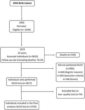 Flowchart of the 1993 Pelotas Birth Cohort participants included in the present analysis.