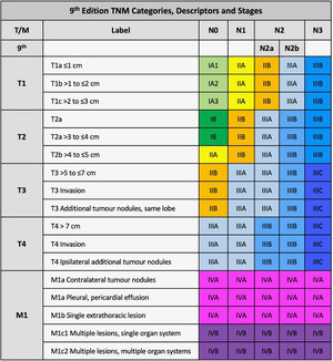 Categories, descriptors and corresponding stages of the 9th edition TNM classification for lung cancer.
