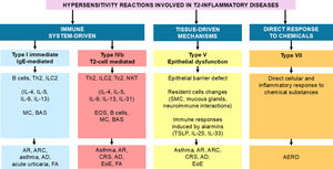 Summary of hypersensitivity reactions involved in T2-inflammatory diseases. Hypersensitivity reaction is defined as an undesirable, uncomfortable or damaging response that arises from a tissue cell dysfunction or immune system overreaction [6]. T2: type 2 immune response; IgE: immunoglobulin E; Th: T helper lymphocytes; ILC2: innate lymphoid cells type 2; IL: interleukins; MC: mast cell; BAS: basophil; AR: allergic rhinitis; ARC: allergic rhinoconjunctivitis; AD: atopic dermatitis; FA: food allergy; Tc2: T cytotoxic lymphocyte type 2; NKT: natural killer T cell; CRS: chronic rhinosinusitis; EoE: eosinophilic esophagitis; AERD: aspirin-exacerbated respiratory diseases; SMC: smooth muscle cell.