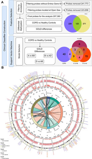 Classifier algorithm for clinical diagnosis of COPD. (A) Feature selection consisted of annotation-based filtering followed by differential methylation analysis, yielding a Venn diagram of cis-expressed genes from CpG islands. To determine COPD or GOLD status, the hierarchical support vector machine classifier selected the appropriate model to identify COPD and assign GOLD status using a one-vs-all strategy, yielding the genes shown in the Venn diagram. (B) Relationship between the genes used in the clinical classifier and their genomic locations. The outer Circos plot shows gene locations and is color-coded according to the Venn diagram in panel A, as well as CpG island and probe density. The inner Circos plot shows probe-to-gene annotation (right) and probe-to-CpG island annotation (left), whereas the connecting lines link the same methylation probe according to both annotation systems. COPD denotes chronic obstructive pulmonary disease; CTRL, healthy controls; and GOLD, Global Initiative for Chronic Obstructive Lung Disease criteria.