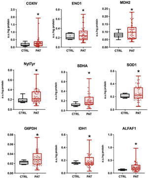 Mitochondrial protein levels (expressed in arbitrary units [a.u.]) in patients versus controls. Normality was assessed before analysis; comparisons were performed using the Student t test or Mann–Whitney U test, as appropriate. Increased expression of several of these proteins was observed in patients compared with controls. COXIV indicates cytochrome c oxidase subunit IV; ENO1, enolase 1; MDH2, malate dehydrogenase 2; NyTyr, nitrotyrosine; G6PDH, glucose-6-phosphate dehydrogenase; IDH1, isocitrate dehydrogenase 1; ALFAF1, ATP synthase subunit alpha F1; SDHA, succinate dehydrogenase subunit A; and SOD1, superoxide dismutase.