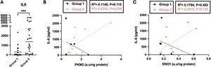 (A) Comparison of peak IL-6 concentrations (pg/mL) during hospitalization between severity groups. Normality was assessed before analysis; comparisons were performed using the Student t test. Higher values were observed in more severely ill patients. (B and C) Correlation in leukocytes between IL-6 and PKM2 or ENO1 levels in COVID-19 patients classified according to maximum respiratory support required during hospitalization. Bivariate correlation was performed using Pearson coefficient. An inverse correlation between IL-6 and both PKM2 and ENO1 was observed across groups; however, only the association between PKM2 and IL-6 in group 2 approached statistical significance (P=.05).