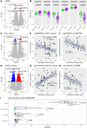 (A) Volcano plot showing differential methylation in COPD. CpG sites hypermethylated in COPD are red; hypomethylated CpG sites are blue. (B) Boxplots showing methylation in beta values of the six CpG sites differentially methylated in COPD, stratified over disease status. Nominal p-values from differential methylation analysis results are shown. (C and D) Volcano plots of correlation of methylation with FEV1% predicted and RV/TLC % predicted, respectively. (E and G) Scatterplots showing the correlation of methylation with FEV1% predicted and RV/TLC % predicted, respectively, of the top eQTMs. logFC, beta values and nominal p-values from differential methylation results are shown. (F and H) Scatterplots showing the top eQTM for the previous CpG site. Beta values and nominal p-values from eQTM results are shown. (I) Cellular proportions calculated using CIBERSORT of the cell types representing each >2% of the cell population in the bronchial biopsies, stratified over disease status. Purple dots indicate individuals with COPD and green dots non-COPD controls. p-Values from a Wilcoxon rank-sum test are shown.