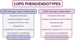 COPD pheno/endotypes: type 1/type 3 (neutrophilic) vs. type 2 (eosinophilic) inflammation. COPD, chronic obstructive pulmonary disease; ILC2, group 2 innate lymphoid cell; ILC3, group 3 innate lymphoid cell; IL, interleukin; Tc1, type 1 cytotoxic T cell; Th, T helper cell; TNF-α, tumor necrosis factor-alpha.