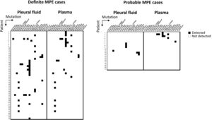 Oncoprint representation of clinically relevant mutations detected in pleural fluid and plasma cfDNA. Each row represents an individual patient, and each column represents a gene. Mutations detected in pleural fluid and plasma cfDNA are indicated, allowing visualization of concordant and discordant alterations across sample types. Patients are stratified according to definite and probable malignant pleural effusion.