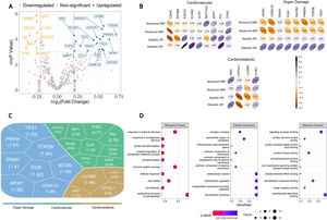 Differential plasma protein presence between controls and severe OSA patients in nocturnal hypertension patients. (A) Volcano plot showing labeled differential proteins between groups that met statistical and fold-change criteria (P value ≤0.05 and FC ≤0.87 or FC ≥1.15). (B) Spearman correlation matrices of levels of differentially present proteins in the severe OSA subgroup with nocturnal blood pressure (BP) parameters for each theme. (C) Voronoi diagram showing proteins that met statistical and fold-change criteria, as well as correlation (|ρ|>0.2) to nocturnal BP colored according to associated thematic. (D) Dotplots representing the top gene ontologies terms that differential proteins correlated nocturnal BP were enriched for. GeneRatio represents the ratio of the number of proteins annotated to the specific pathway over the total number of proteins comprising the input protein list, Count represents the natural number of proteins annotated to the term and p.adjust represents a Benjamini–Hochberg adjusted P value. DBP, diastolic blood pressure; SBP, systolic blood pressure; DR, dipping ratio.