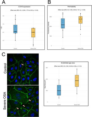 In vitro assays results. The panel represents results obtained from a battery of in vitro assays performed in human aortic endothelial cells treated with extracellular vesicles extracted from patients of untreated, uncontrolled nocturnal hypertension with severe OSA or controls. The number displayed between boxplots represents P value for Wilcoxon rank-sum tests. (A) Boxplot representing negative delta cycle threshold (Ct) distributions for the gene encoding VE-cadherin in cells treated with extracellular vesicles (n=16). (B) Boxplot representation of an indirect measure of endothelial permeability through quantification of fluorescent dextran passage (n=16). (C) On the left, a staining of VE-cadherin (green) and cell nuclei (blue) in cells treated with extracellular vesicles where the red arrows point towards discontinuities observed in the endothelial monolayer (representative of a total of 40 images). On the right, a boxplot representing the mean area left exposed by the discontinuities in the endothelial monolayer of cells treated with extracellular vesicles (n=8) calculated from immunofluorescence images. Each dot represents the mean area left by the discontinuities across the endothelial monolayers of cells treated with extracellular vesicles from individual patients of both groups. Effect sizes reported in each boxplot display as a Cohen d coefficient.