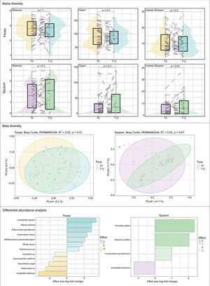 Alpha and beta diversity indices, and differential abundance analysis of fecal samples and sputum samples at both times.