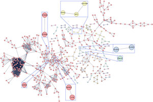Full STRING protein–protein interaction network of significant human sputum proteins grouped into 40 clusters, being the greatest cluster including proteins associated with innate immunity and protein homeostasis. Each node represents all the proteins produced by a single, protein-coding gene locus. Edges represent protein–protein associations, jointly contributing to a shared function. Line thickness indicates the strength of data support. Dotted lines indicate the edges between clusters. Highlighted areas (zoomed boxes) correspond to proteins related to inflammation and fibrosis. Detailed results are shown in Table S7.