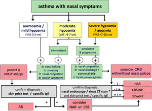 Diagnostic algorithm for patients with asthma and sinonasal symptoms to differentiate, according to the severity of olfactory loss (normosmia, hyposmia and anosmia), between rhinitis (allergic or non-allergic) and chronic rhinosinusitis with or without nasal polyps. In cases of partial (hyposmia) or complete (anosmia) loss of smell, other common causes of olfactory dysfunction should first be ruled out, such as previous head trauma, recent upper respiratory tract infection (e.g., common cold, influenza, or COVID-19), or neurodegenerative disease (e.g., Parkinson
