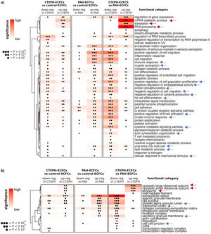 Functional enrichment analysis of differentially expressed genes in ECFCs. (a) Summary of functional annotation related to biological process ontology. (b) Summary of functional annotation and related to cellular component ontology. p-Values indicated represent the lowest adjusted p-value among all GO terms within each functional category. Red arrows indicate the most significant enriched categories in CTEPH-ECFCs (n=5), and blue arrows enriched categories in PAH-ECFCs (n=7), controls-ECFCs (n=4). “n” refers to independent biological donors.