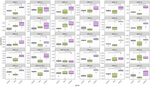 Expression of MRPL gene family in control, PAH, and CTEPH ECFCs. Boxplots show the distribution of log2-normalized expression values for each MRPL gene. Horizontal lines indicate statistically significant differences compared to CTEPH, determined by Wilcoxon rank-sum test with FDR correction (p<0.05). Each panel represents an individual MRPL gene. Data are derived from independent biological replicates (CTEPH-ECFCs n=5, PAH-ECFCs n=7, control ECFCs n=4).