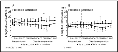 la l carnitina es mala para el corazn qu sirve carnitina?| Blog | SPN L Carnitina - Para Qu