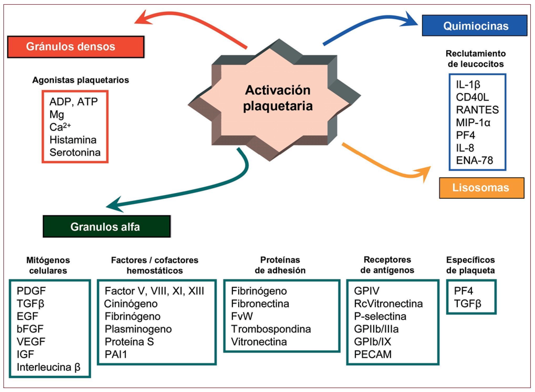 diagrama de estructura de plaquetas