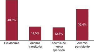 Prevalencia de las categorías de anemia. Un 59% de los pacientes tenían anemia y fue de carácter persistente en la mayoría de ellos.