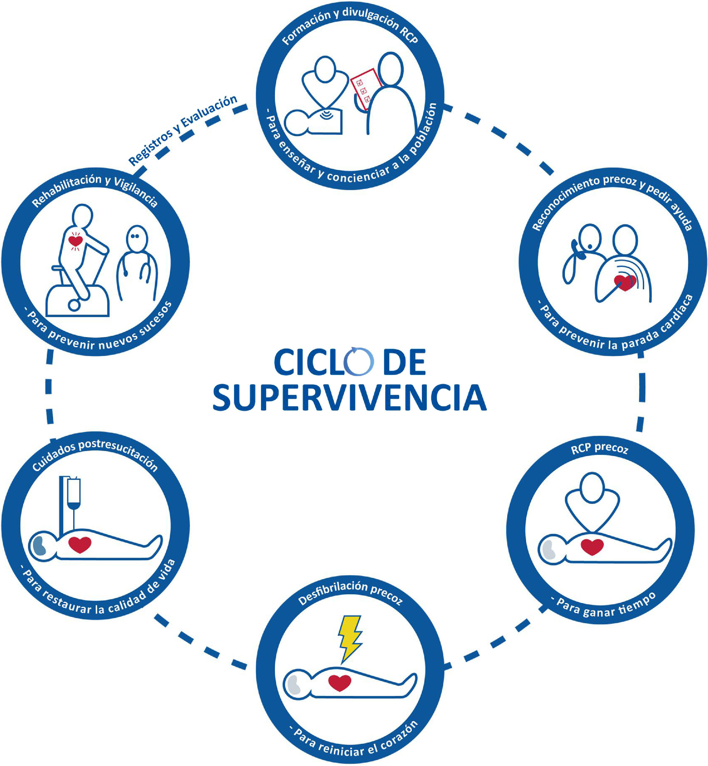 ¿La cadena de supervivencia de la PCR debería ser el ciclo de