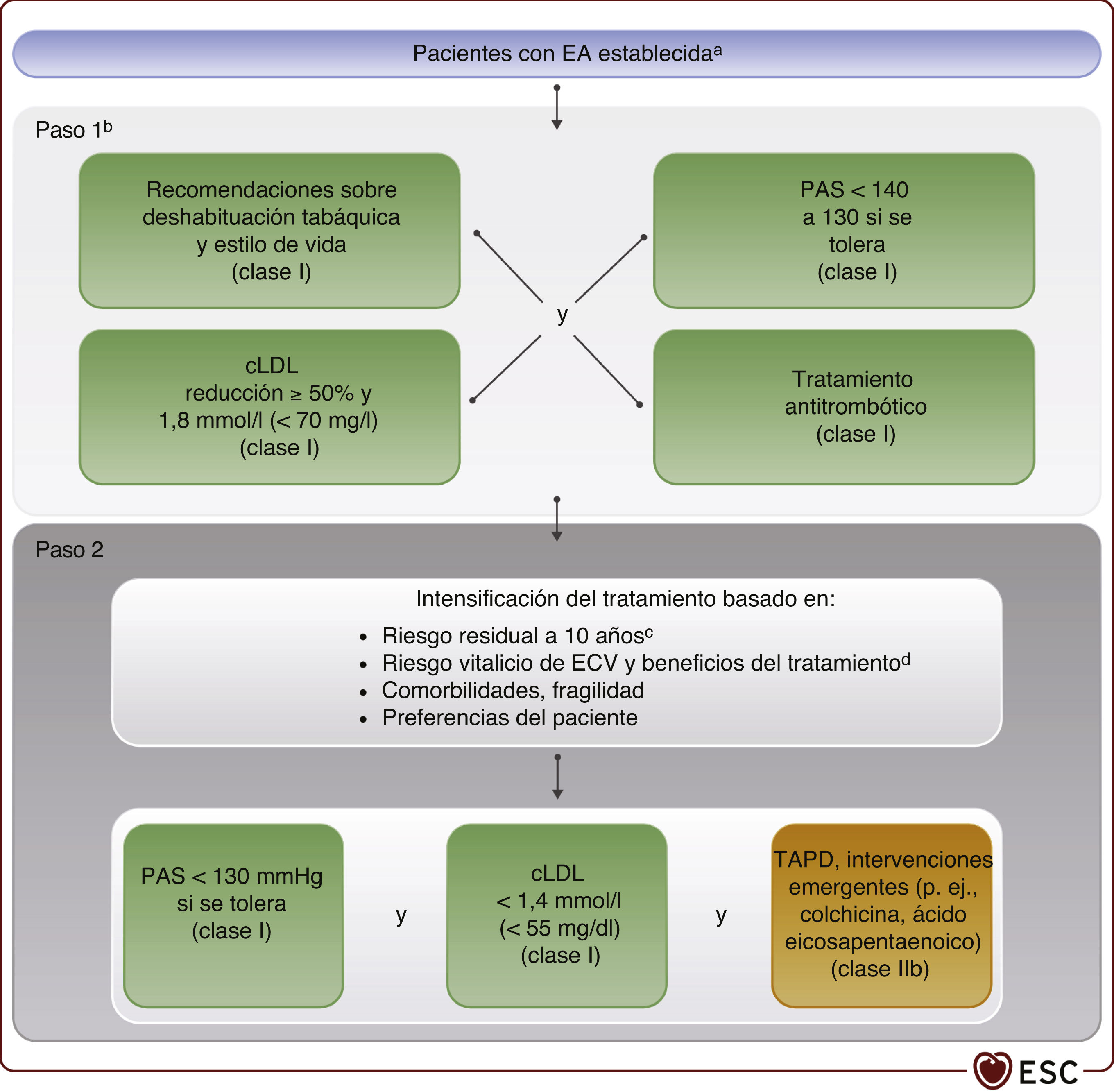 Guía ESC 2021 sobre la prevención de la enfermedad cardiovascular en la ...
