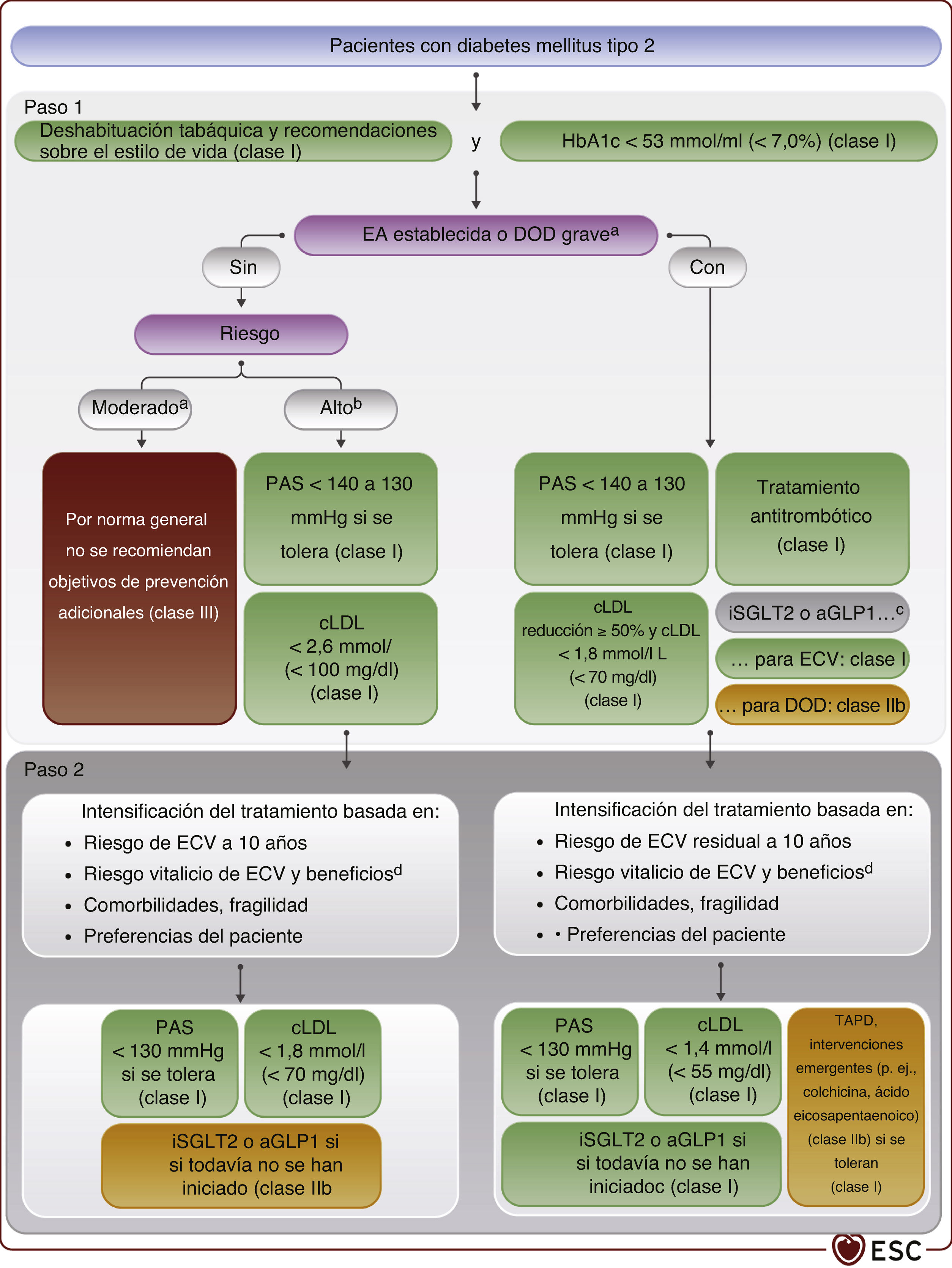 Guía ESC 2021 sobre la prevención de la enfermedad cardiovascular en la ...