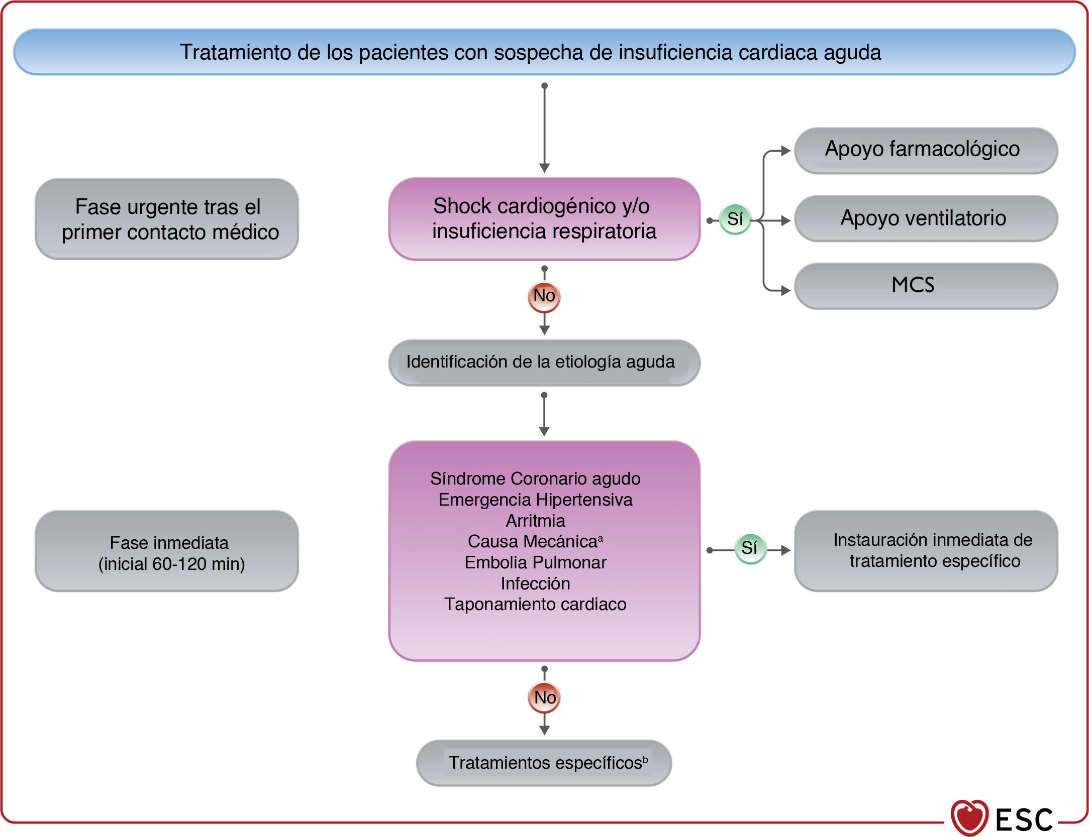 Guía ESC 2021 sobre el diagnóstico y tratamiento de la insuficiencia ...