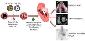 Imagen extra