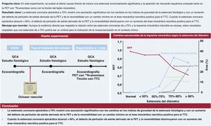 Imagen extra