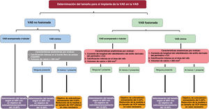 Figura 3