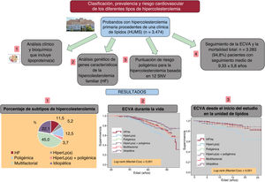 Graphical Abstract Clasificación, prevalencia y riesgo cardiovascula...