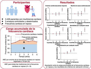 Graphical Abstract Carga acumulativa de la frecuencia cardiaca en rep...