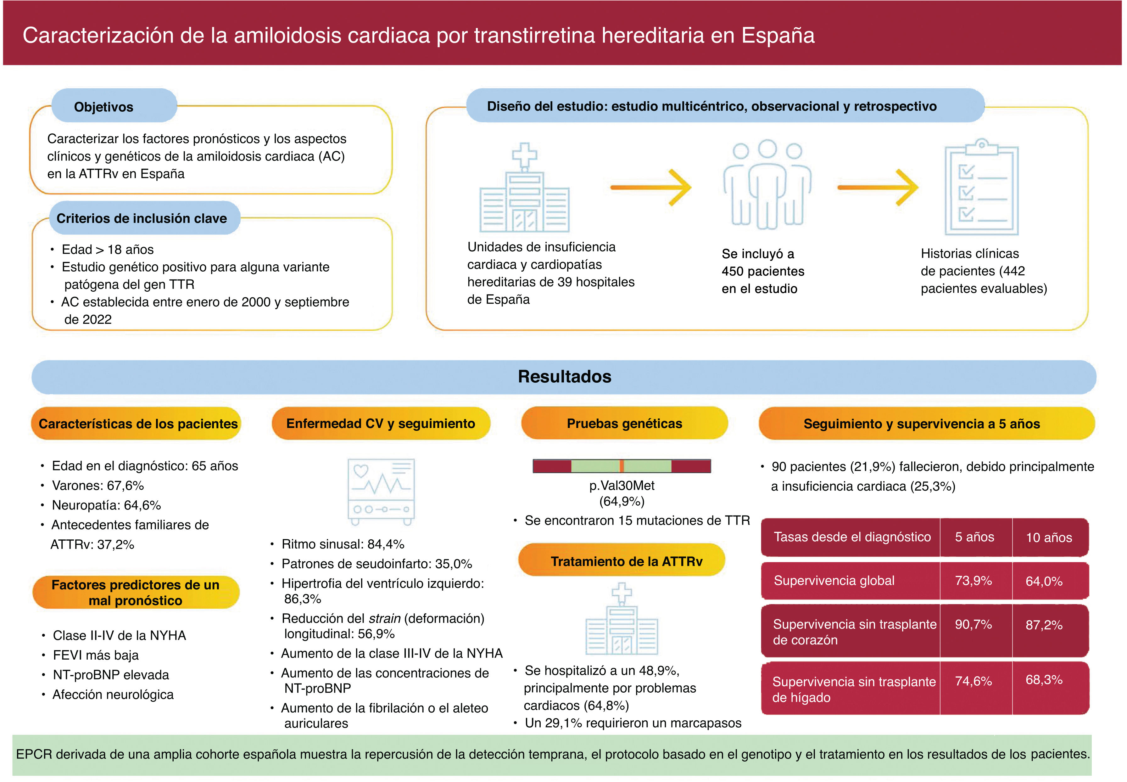 Imagen extra