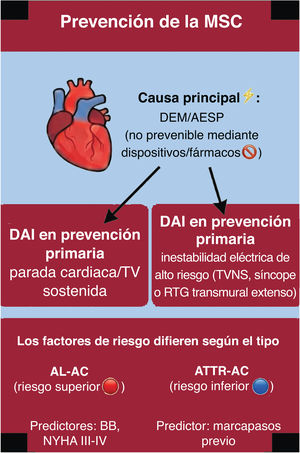 Figura 5
