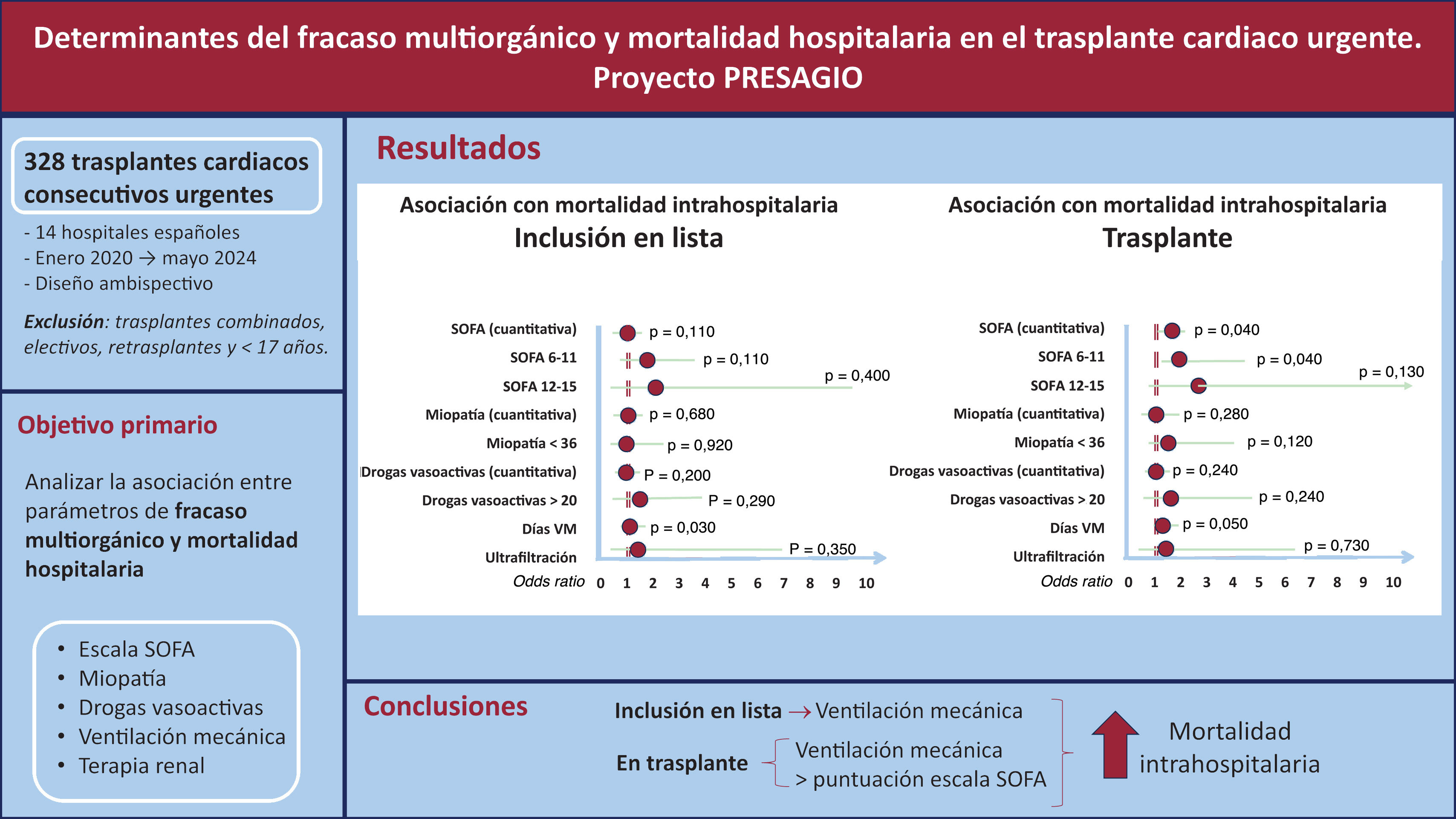 Imagen extra
