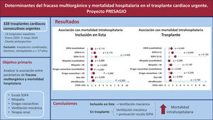 Figura 5