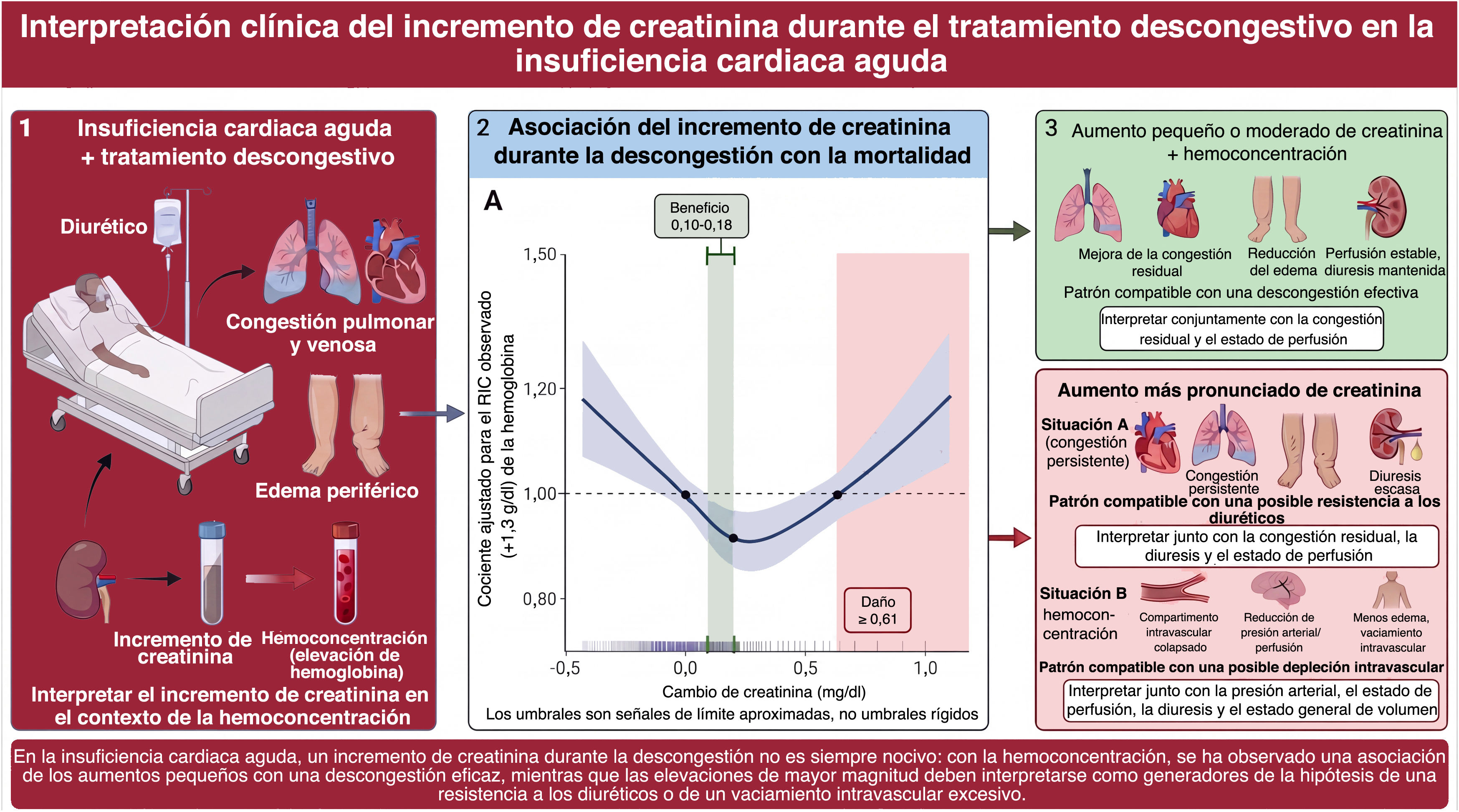 Imagen extra